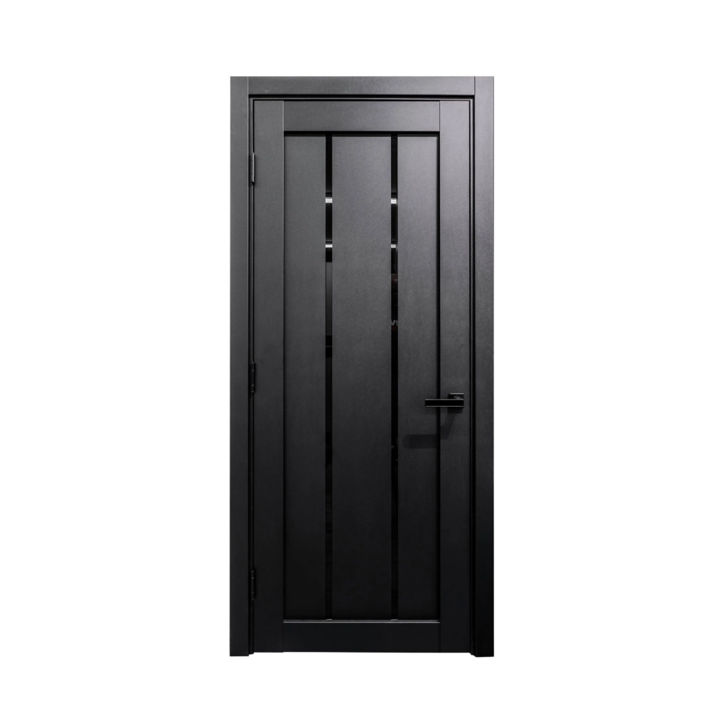 Modern interior door LV 04 black matt with black glass