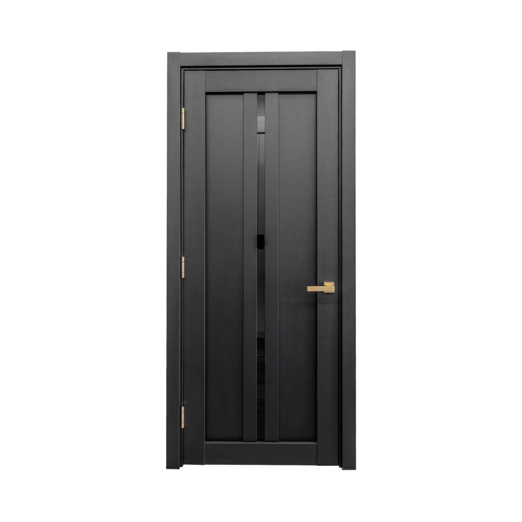 Modern interior door LV-11 texture black matt glass black