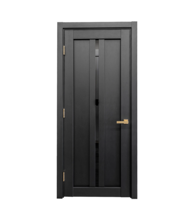 Modern interior door LV-11 texture black matt glass black
